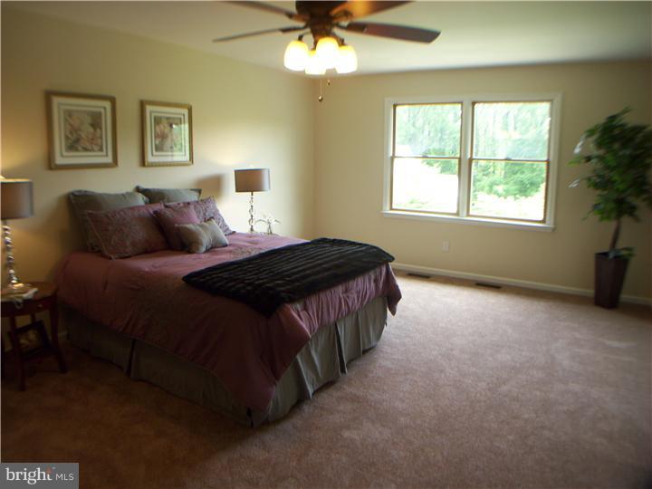 62 Raphael Road Hockessin, DE 19707 - Photo 16 of 24 Master Bedroom
