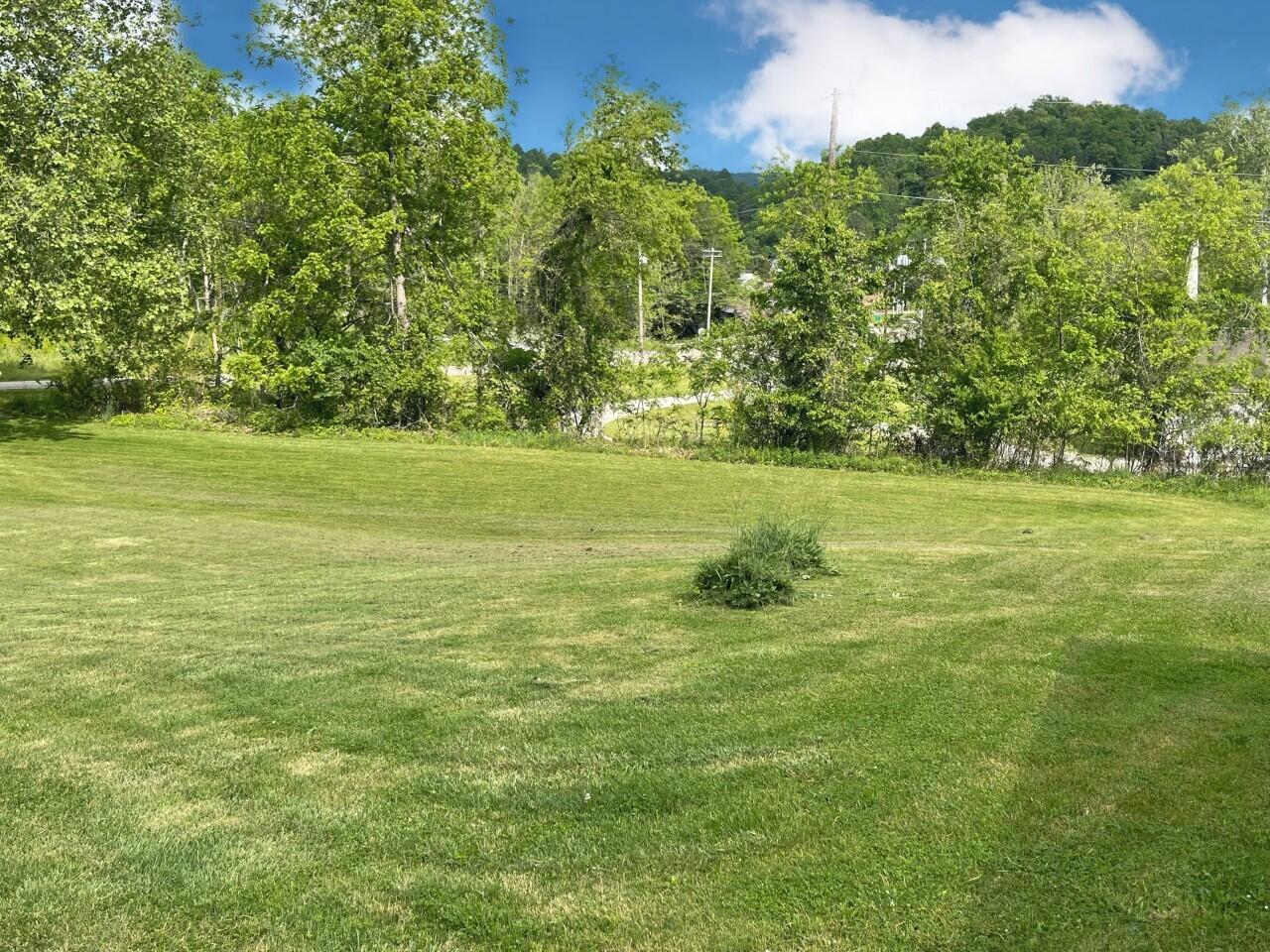 4036 Dungannon Road Coeburn, VA 24230 - Photo 11 of 25 Yard