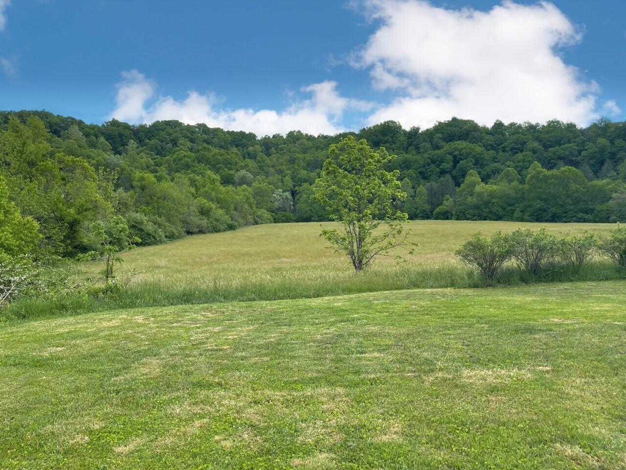 4036 Dungannon Road Coeburn, VA 24230 - Photo 22 of 25 Yard 3