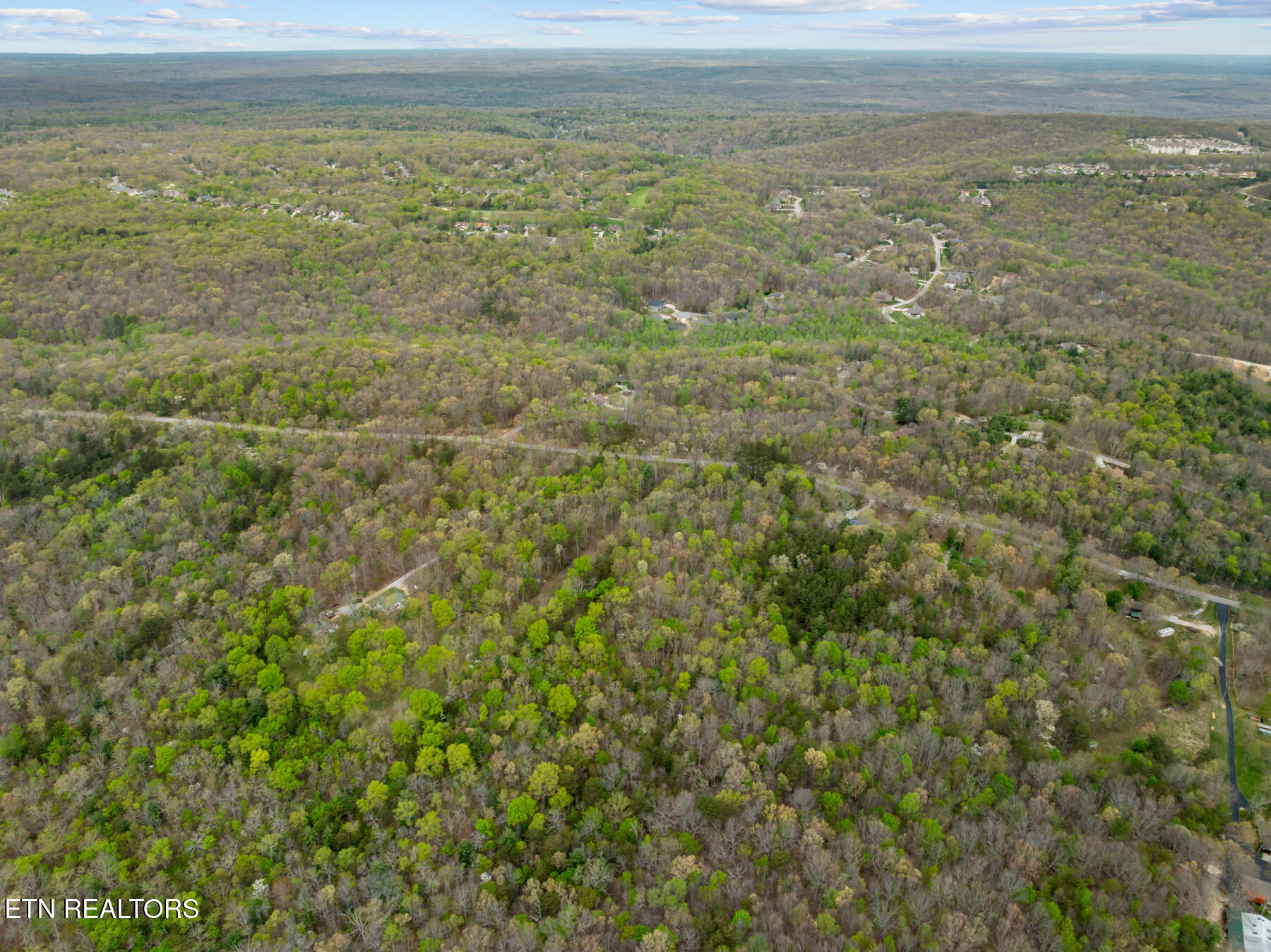 0 Peavine Road Crab Orchard, TN 37723 - Photo 11 of 23 DJI_20260411151129_0191_D