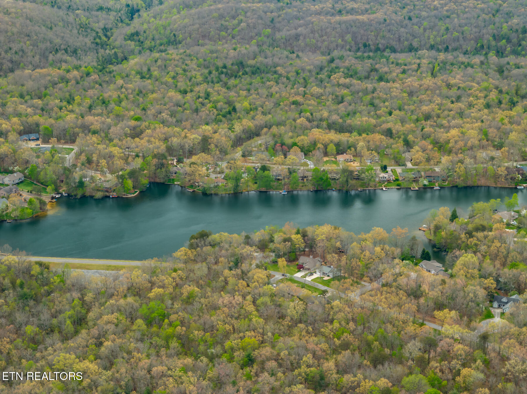0 Peavine Road Crab Orchard, TN 37723 - Photo 14 of 23 DJI_20260411151201_0194_D