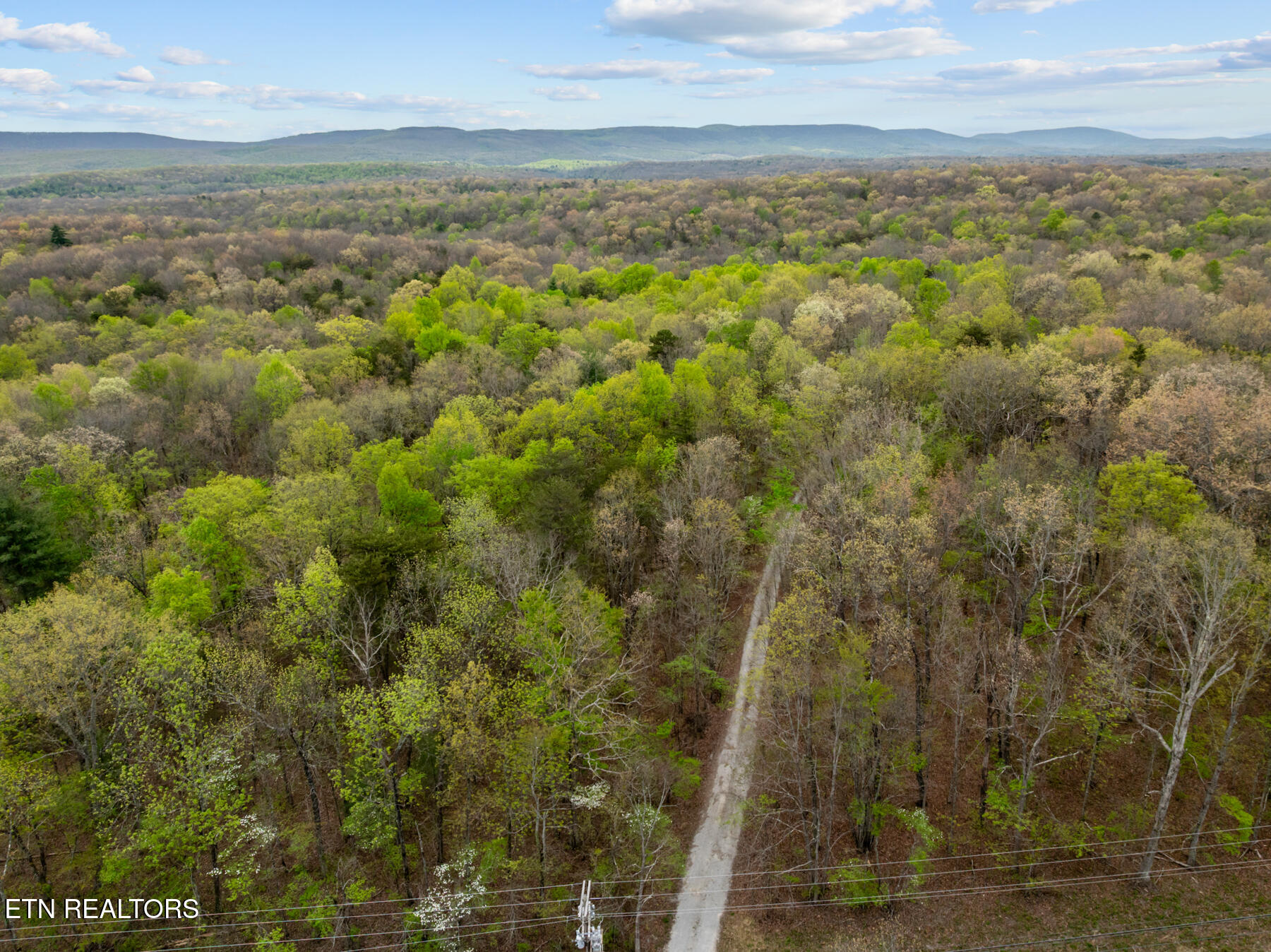 0 Peavine Road Crab Orchard, TN 37723 - Photo 17 of 23 DJI_20260411151513_0201_D