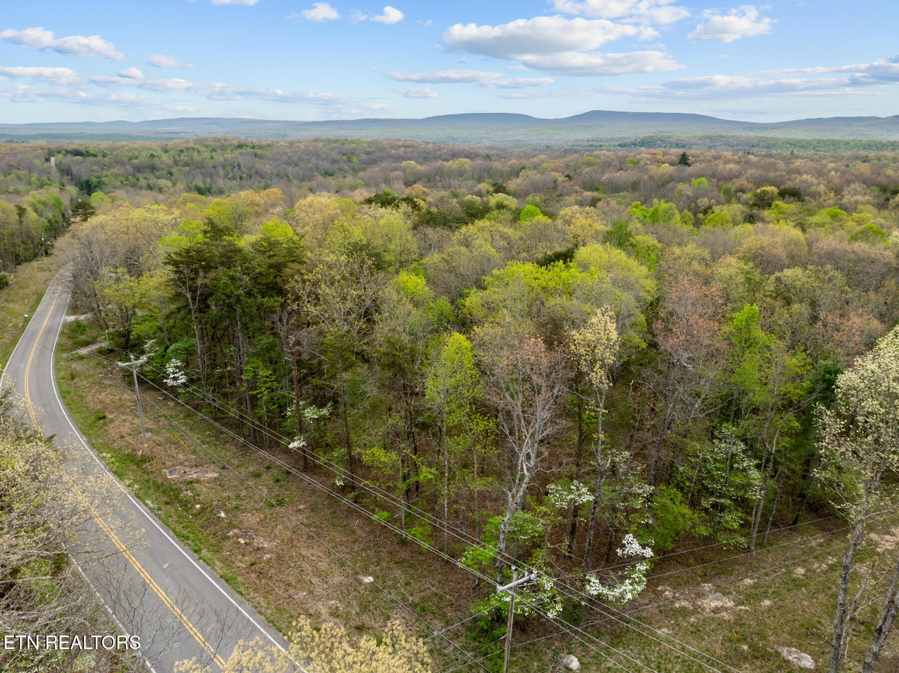 0 Peavine Road Crab Orchard, TN 37723 - Photo 2 of 23 DJI_20260411151723_0208_D