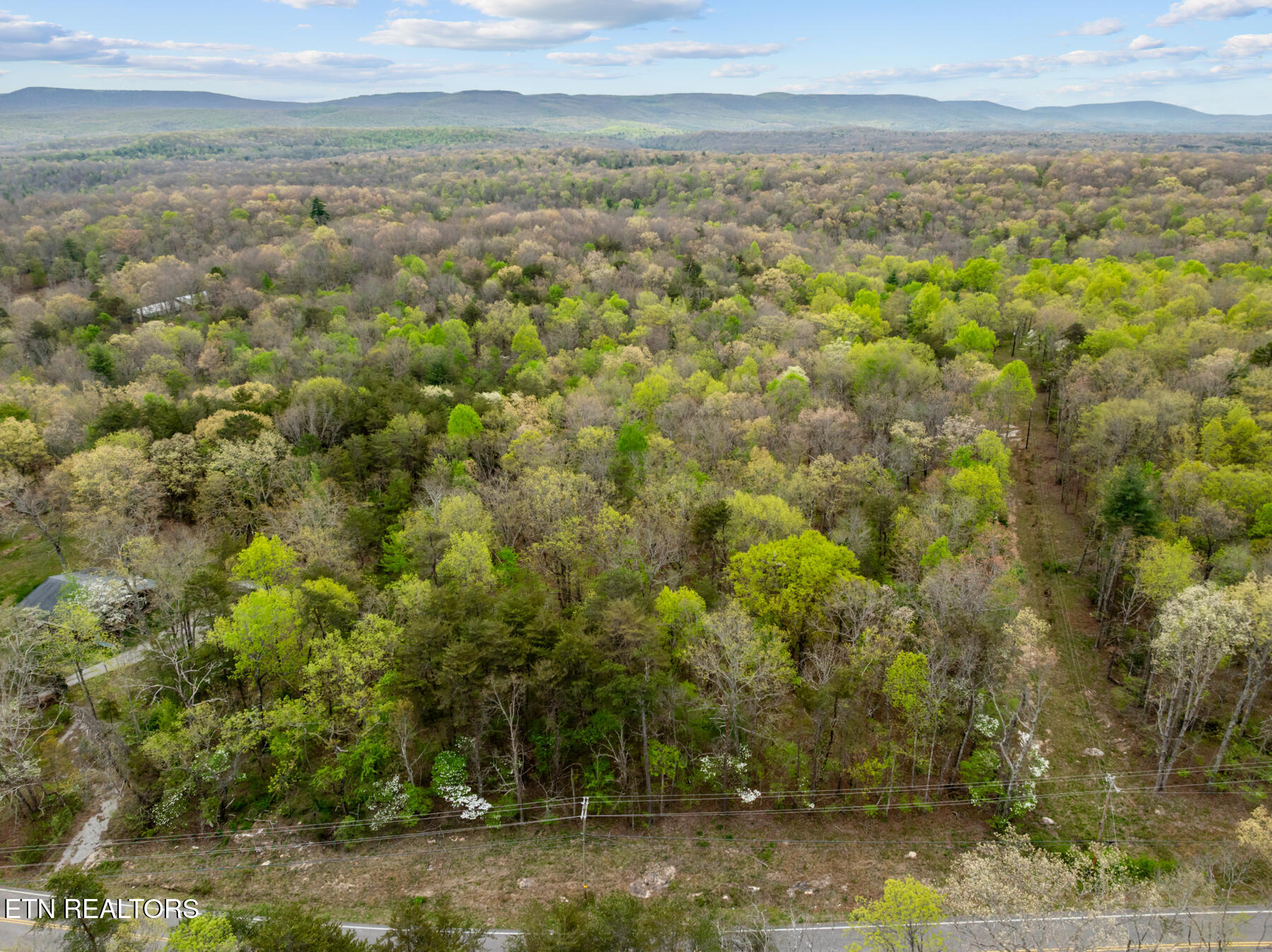 0 Peavine Road Crab Orchard, TN 37723 - Photo 22 of 23 DJI_20260411151602_0205_D