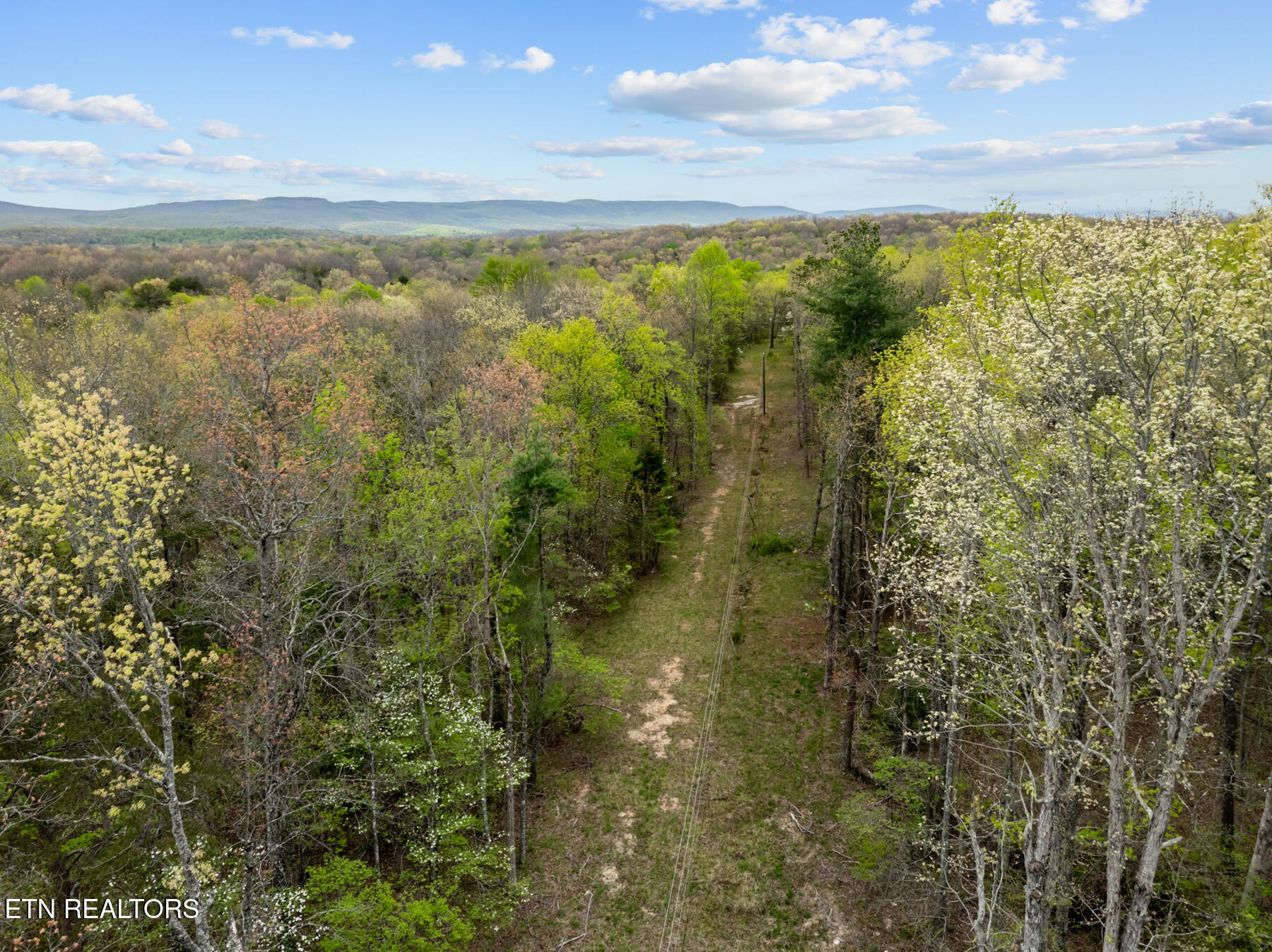 0 Peavine Road Crab Orchard, TN 37723 - Photo 23 of 23 DJI_20260411151620_0206_D