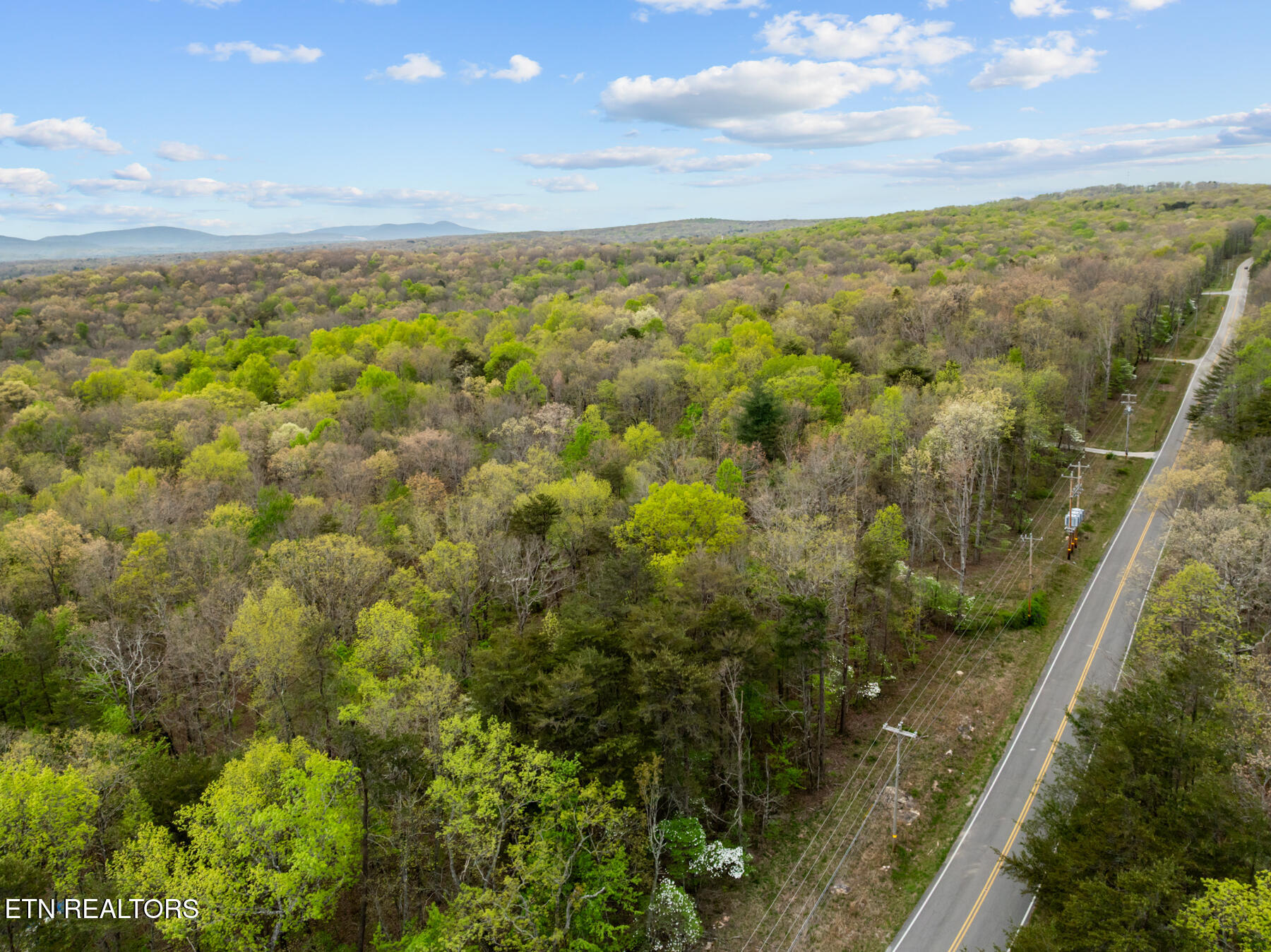 0 Peavine Road Crab Orchard, TN 37723 - Photo 3 of 23 DJI_20260411151544_0204_D