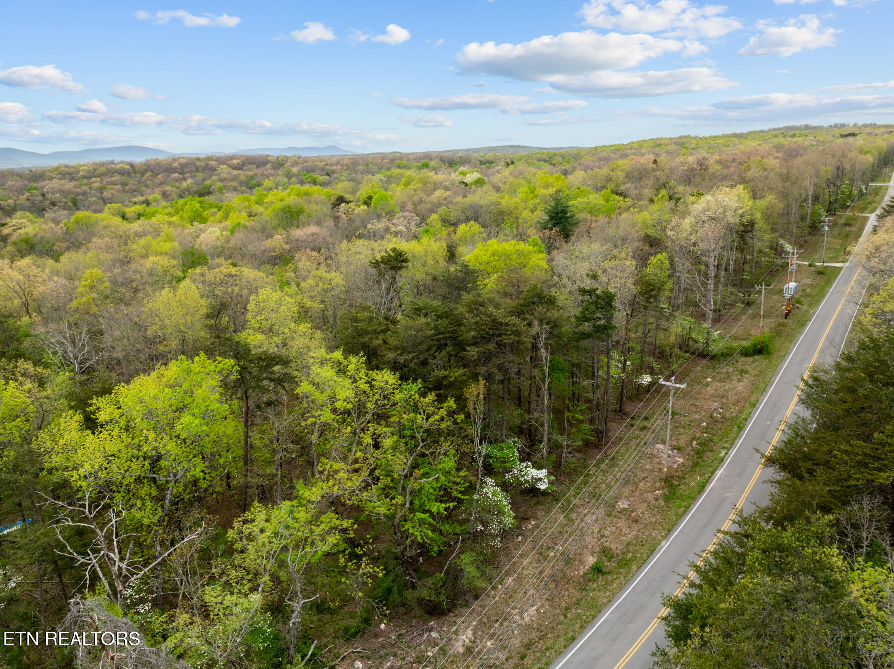 0 Peavine Road Crab Orchard, TN 37723 - Photo 6 of 23 DJI_20260411151700_0207_D