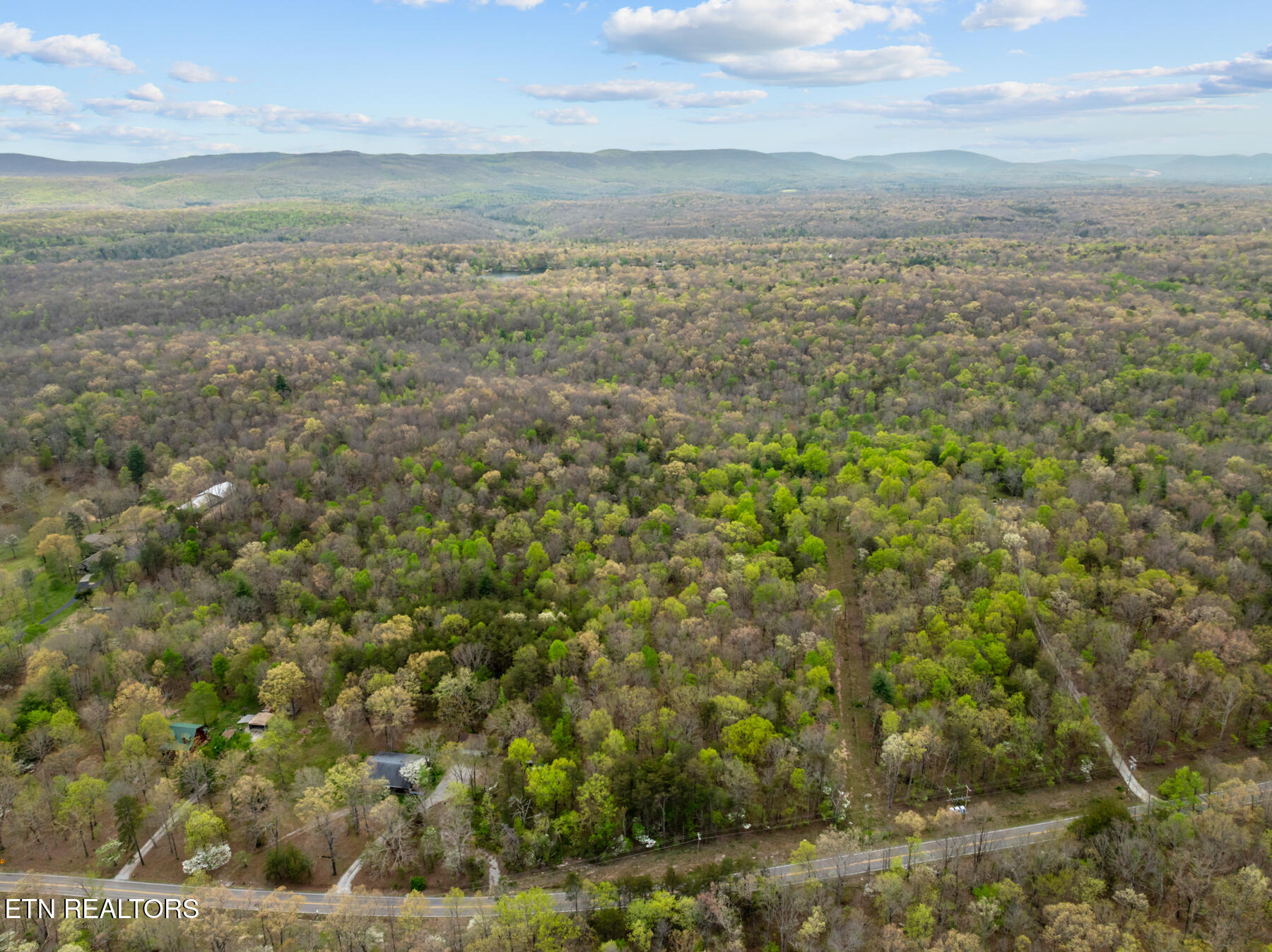 0 Peavine Road Crab Orchard, TN 37723 - Photo 8 of 23 DJI_20260411150827_0184_D