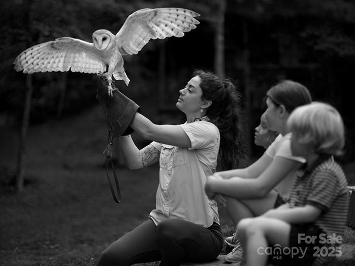 23 ( 1) Lodestone Drive, Unit 412 Sylva, NC 28779 - Photo 33 of 35 a living room with furniture and chandelier