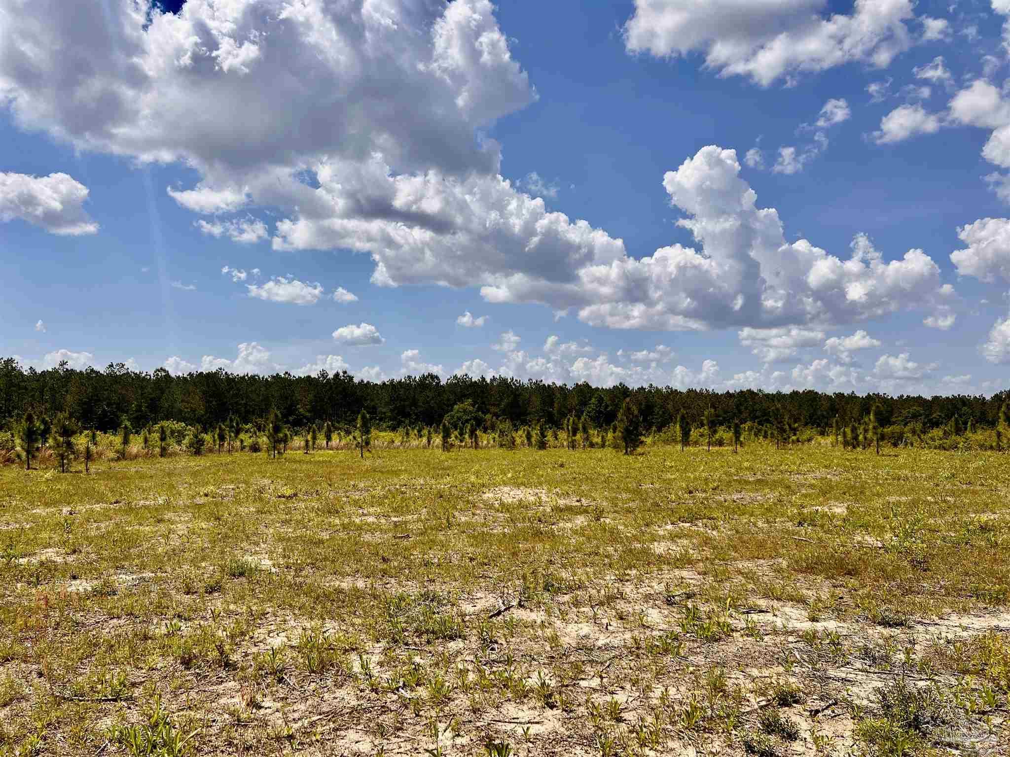 Lot 49 South Timber Lane Milton, FL 32571 - Photo 11 of 45 a view of a lake