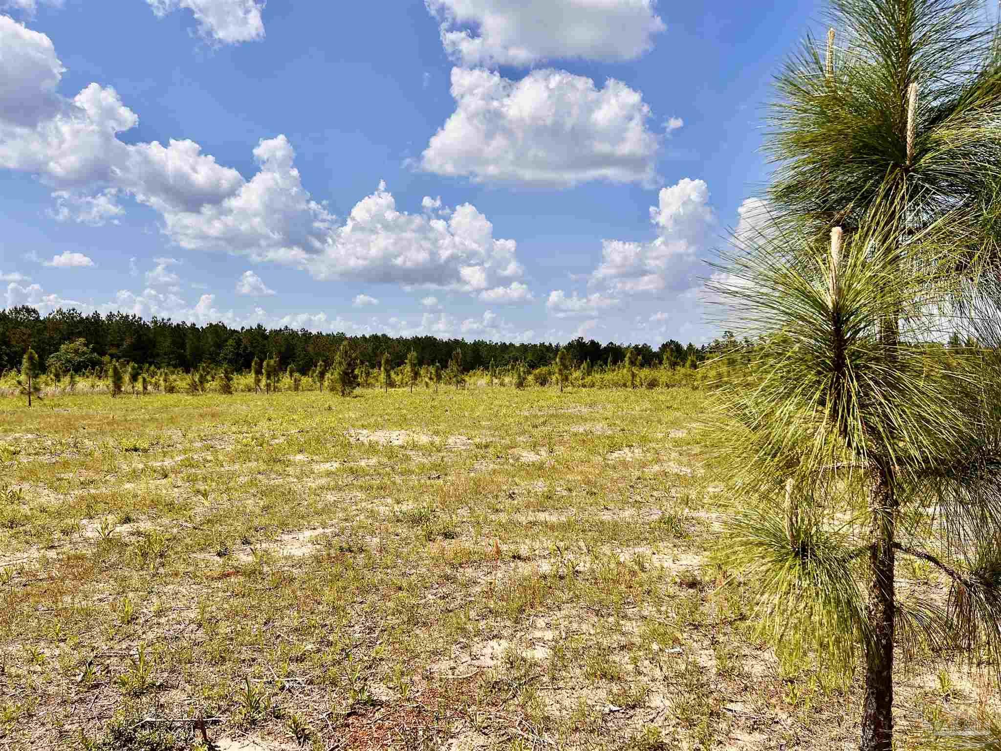 Lot 49 South Timber Lane Milton, FL 32571 - Photo 12 of 45