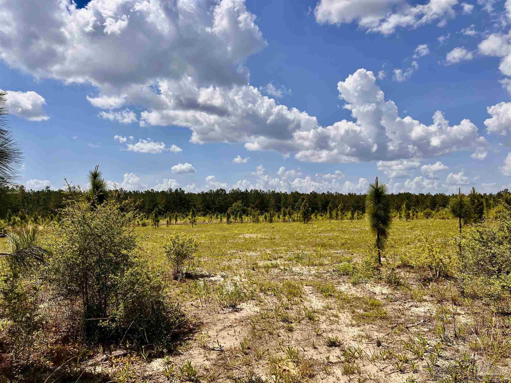 Lot 49 South Timber Lane Milton, FL 32571 - Photo 14 of 45 a view of an ocean