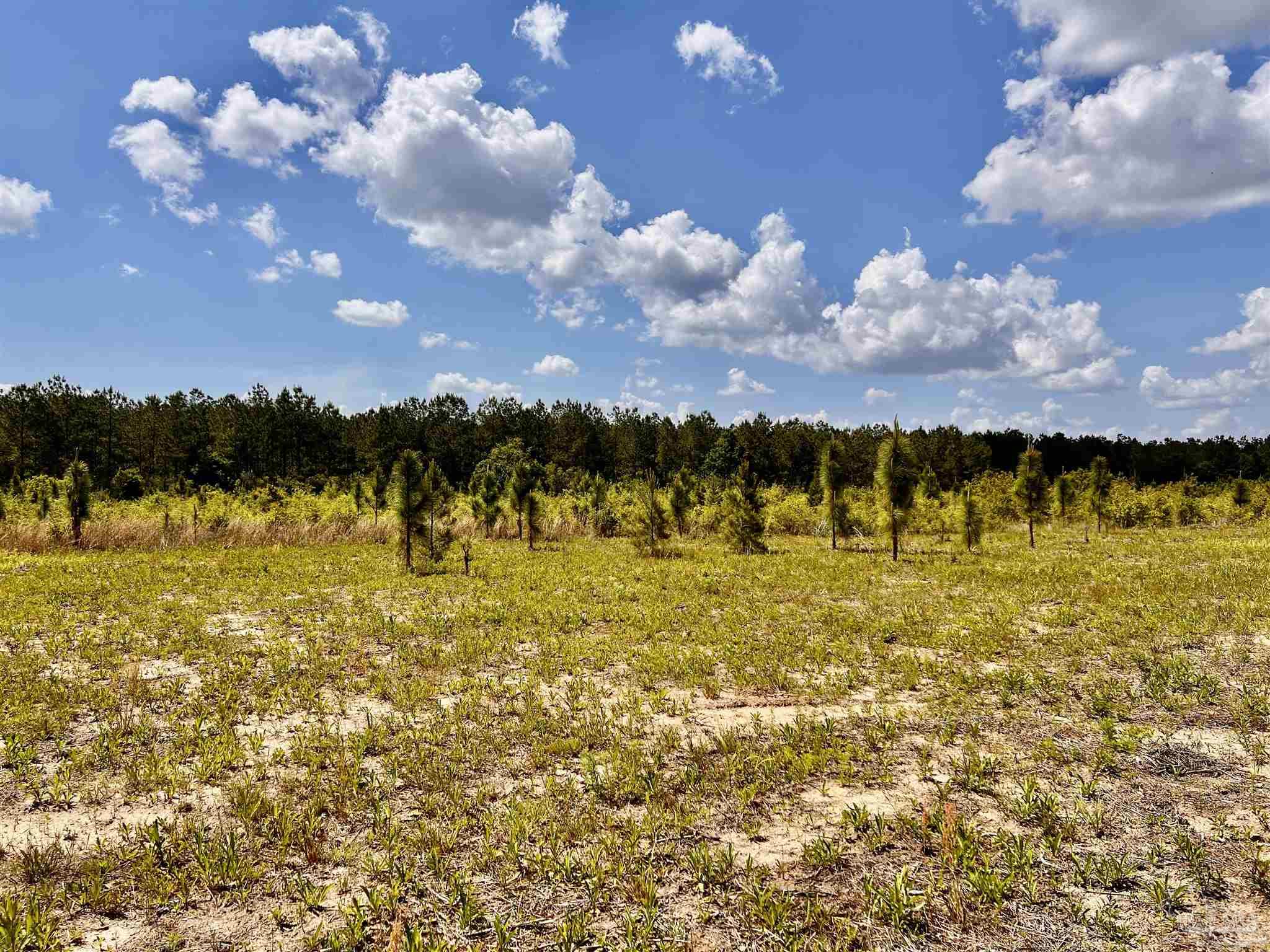 Lot 49 South Timber Lane Milton, FL 32571 - Photo 15 of 45 a view of a lake
