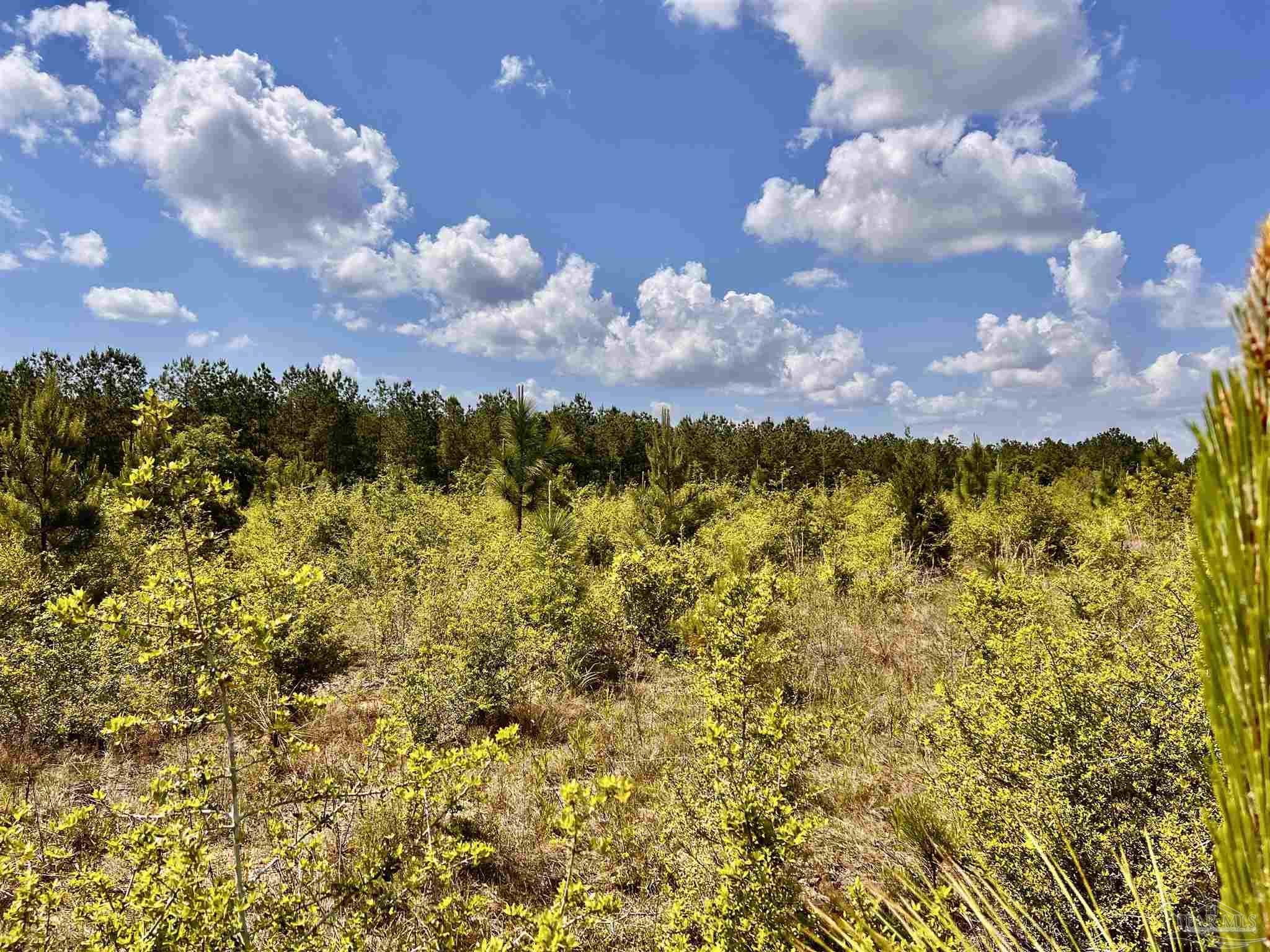 Lot 49 South Timber Lane Milton, FL 32571 - Photo 18 of 45 a view of a city