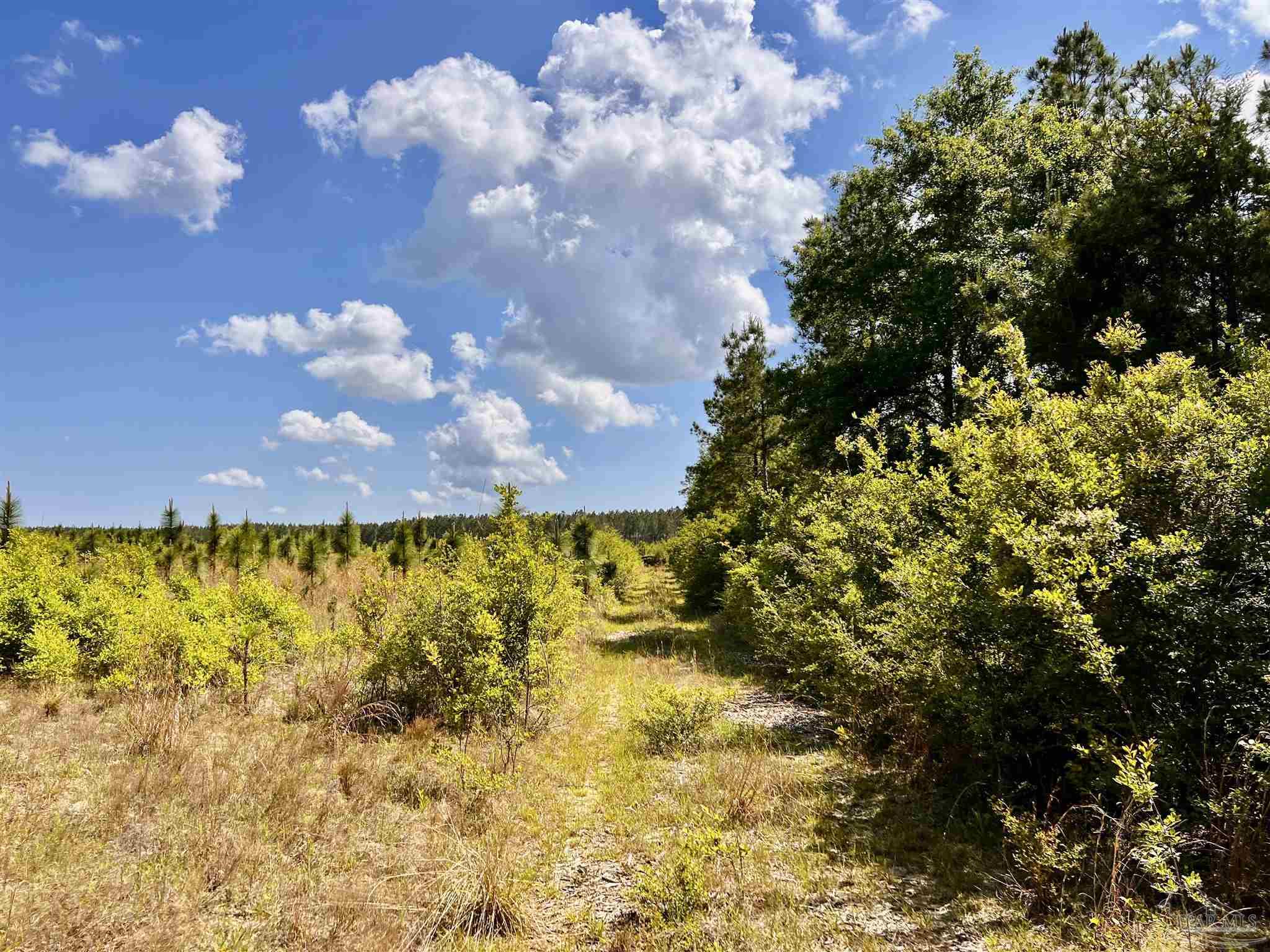 Lot 49 South Timber Lane Milton, FL 32571 - Photo 23 of 45