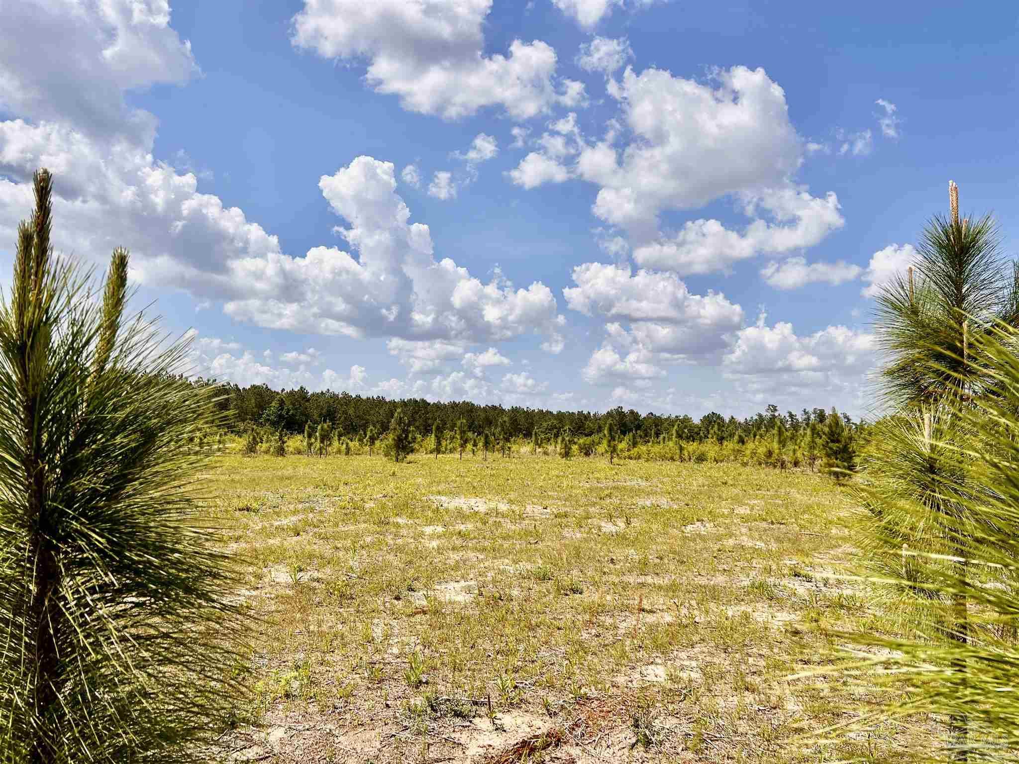 Lot 49 South Timber Lane Milton, FL 32571 - Photo 3 of 45 a view of an ocean