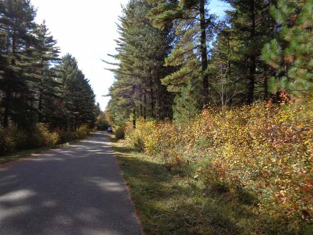 Lot 14 Wilderness Cir Street Sayner, WI 54560 - Photo 1 of 9