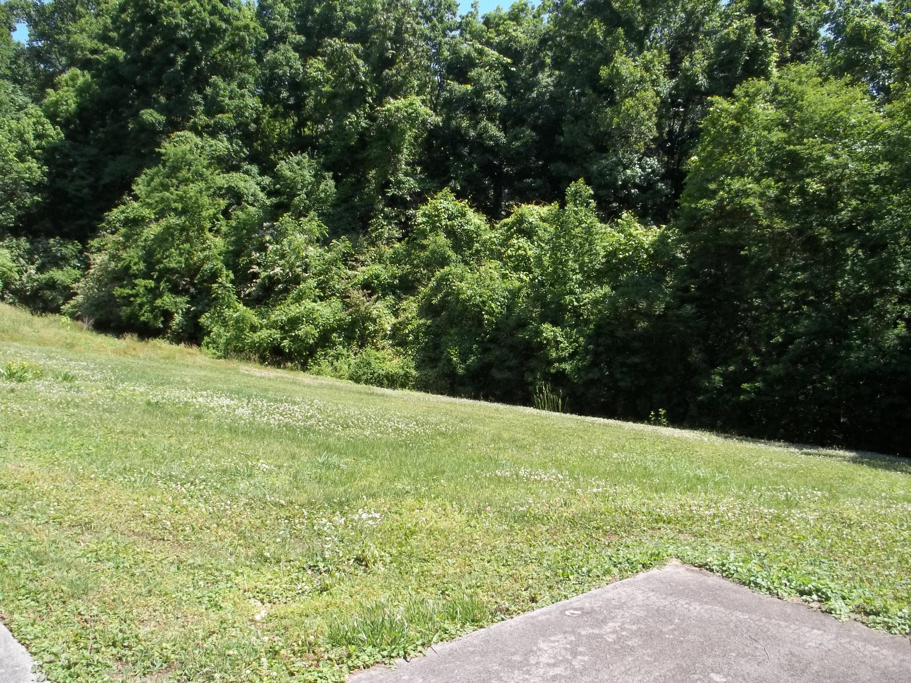 114 Warrior Lane Oak Ridge, TN 37830 - Photo 20 of 20 100_7430