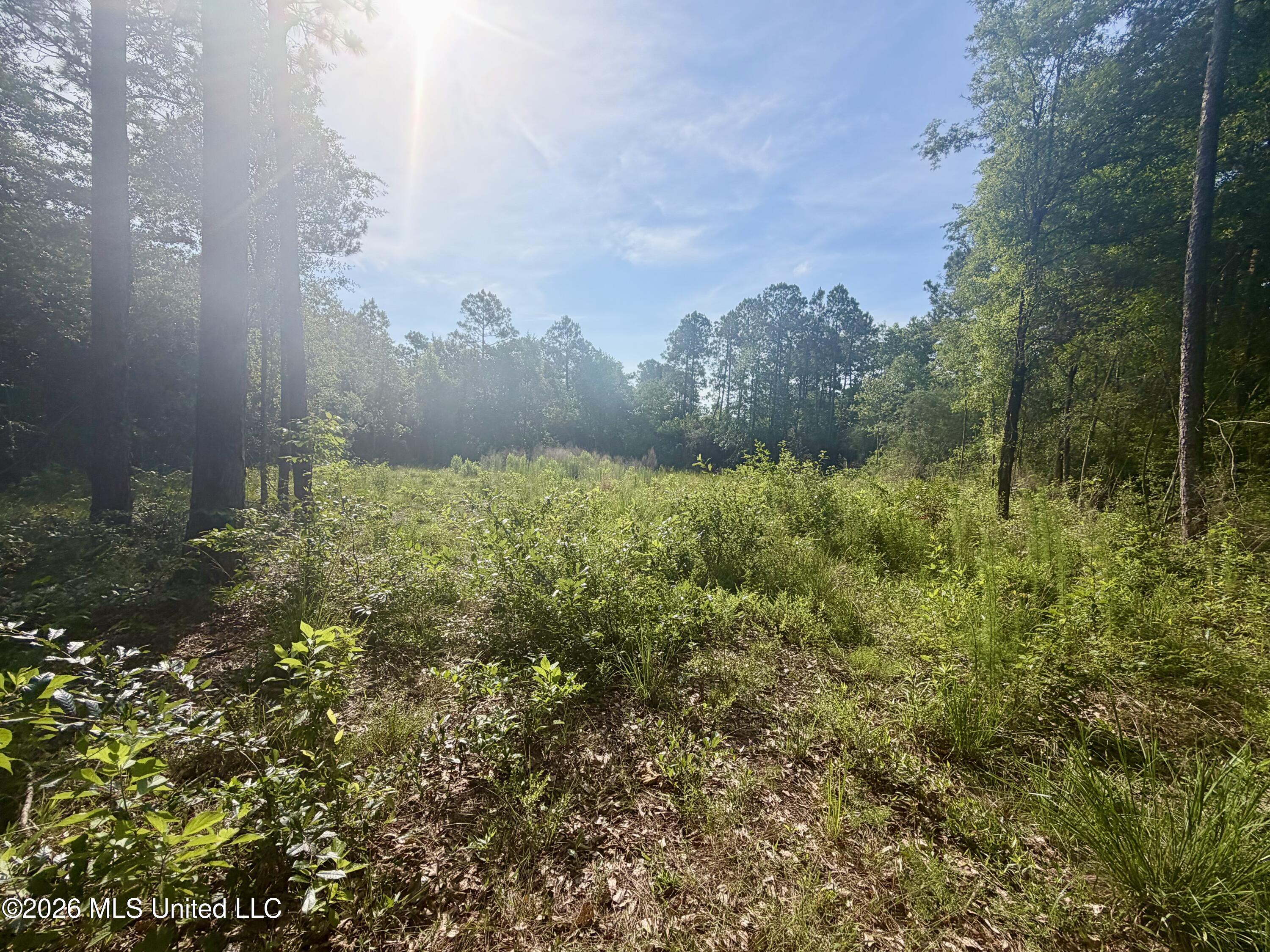 112 Pine Ridge Drive Picayune, MS 39466 - Photo 5 of 5 IMG_2991