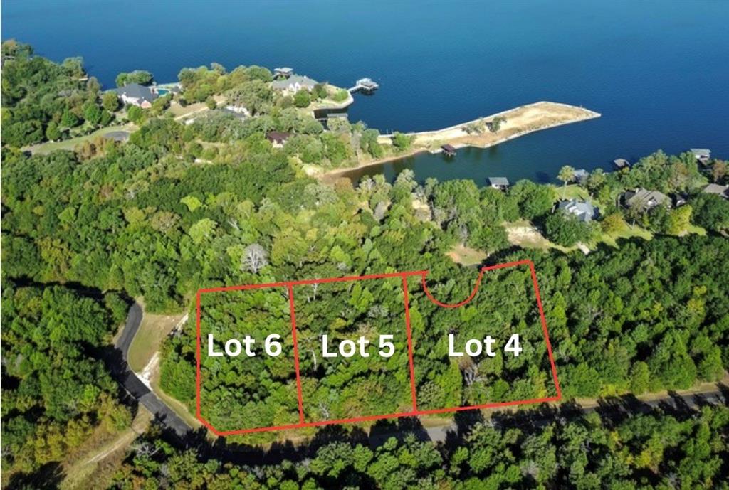 4 Shiloh Road Streetman, TX 75859 - Photo 2 of 7 a picture of flowers