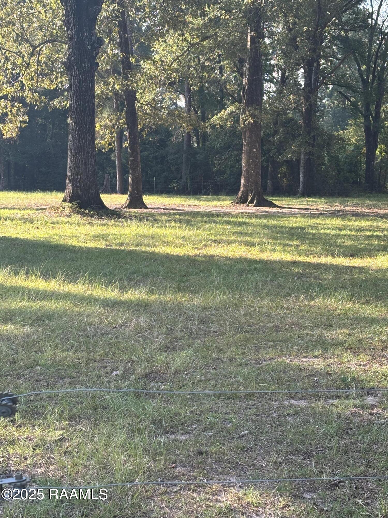 399 Ahtus Melder Road Forest Hill, LA 71430 - Photo 16 of 19