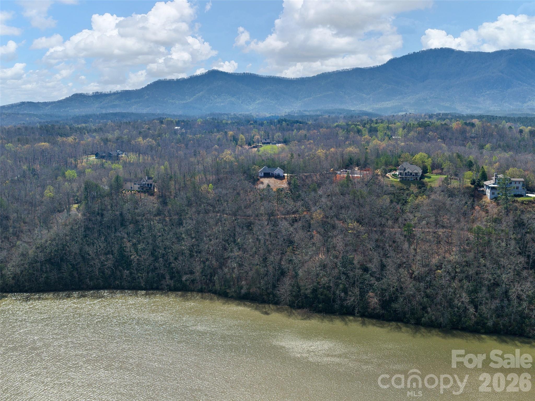 3244 Lake Adger Parkway Mill Spring, NC 28756 - Photo 39 of 44 a view of city and mountain