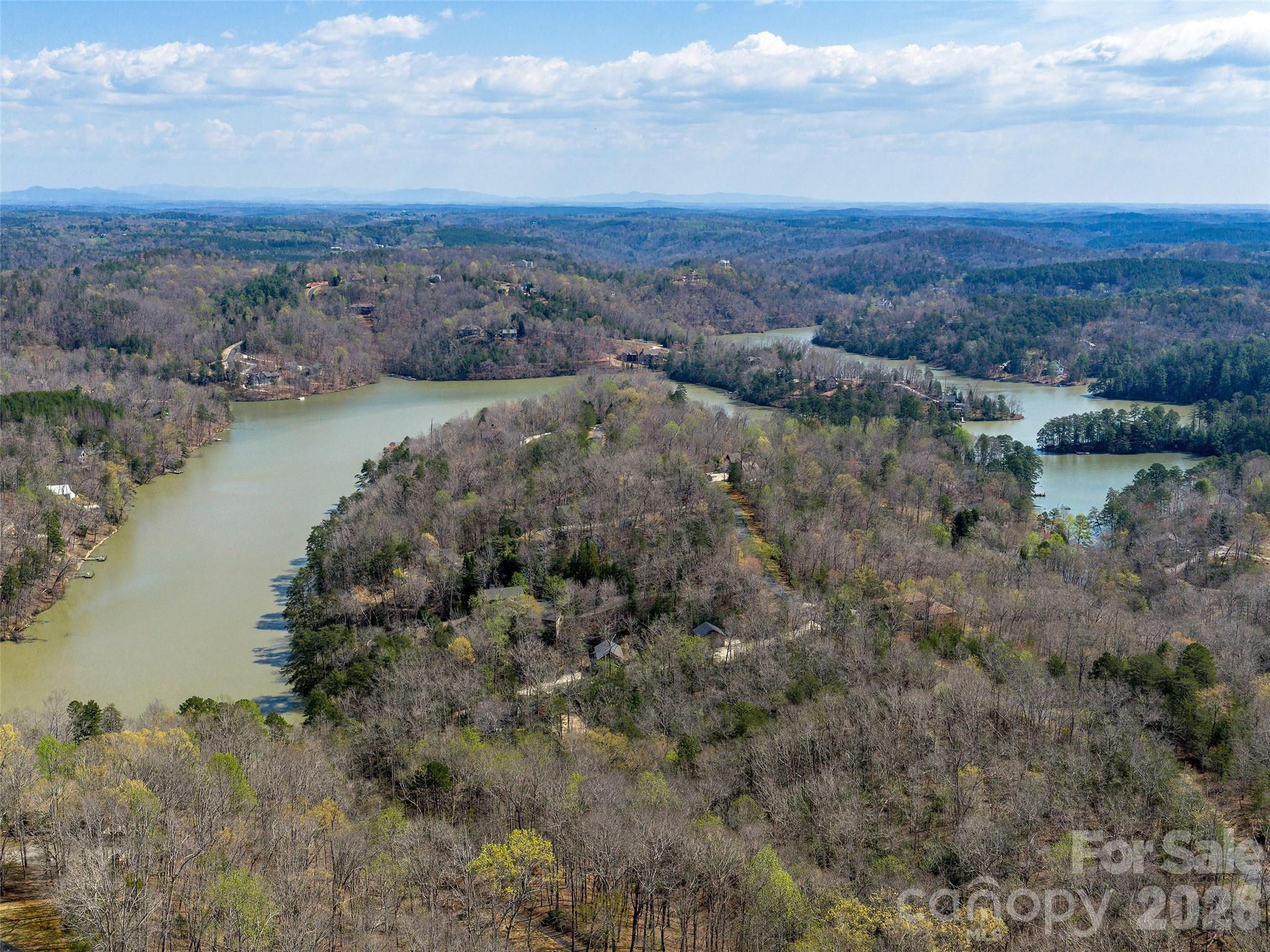 3244 Lake Adger Parkway Mill Spring, NC 28756 - Photo 42 of 44 a view of a lake with mountains in the background