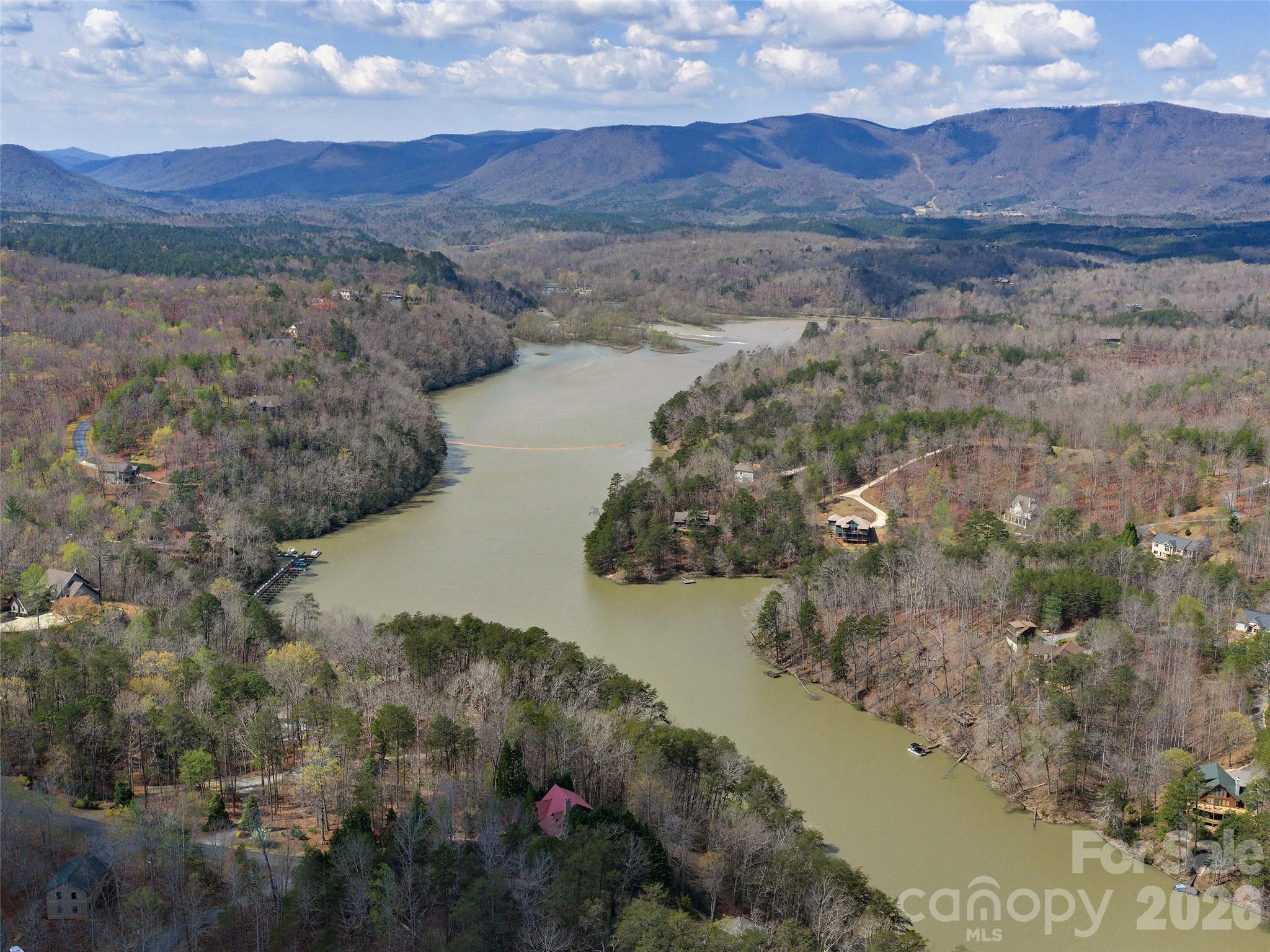 3244 Lake Adger Parkway Mill Spring, NC 28756 - Photo 43 of 44 a view of lake and mountain