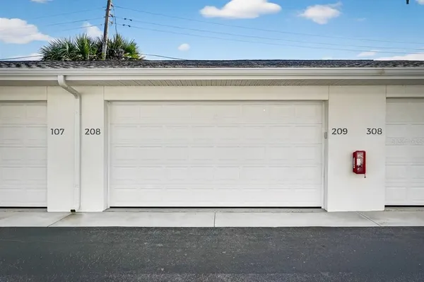 a city view with large trees and cars parked on the roadside