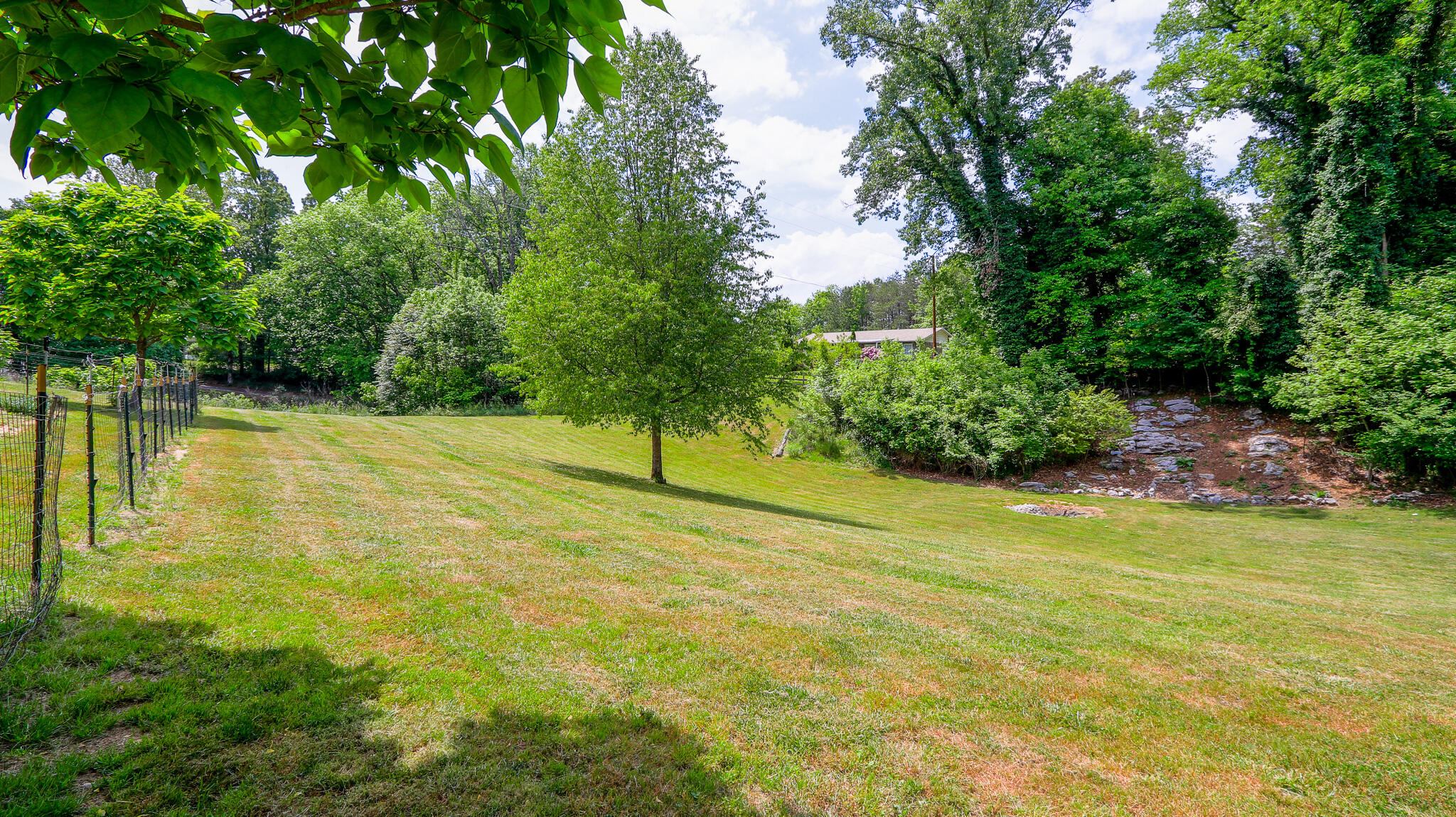 305 Haw Ridge Dock Road Piney Flats, TN 37686 - Photo 26 of 29 _MG_9317-HDR