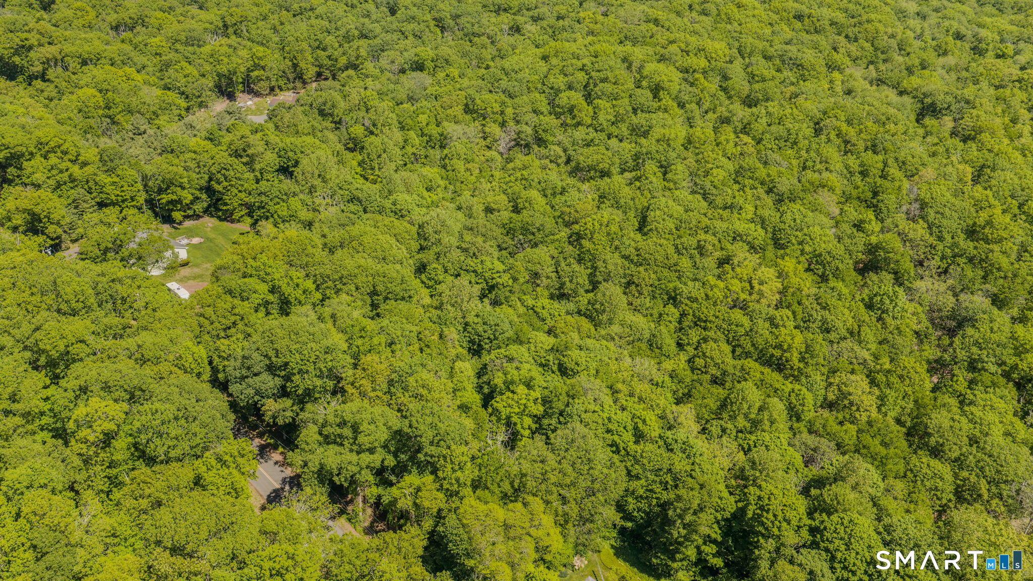 Lot10-b1 Foot Hills Road Higganum, CT 06441 - Photo 27 of 33 a view of a big yard with plants and large trees