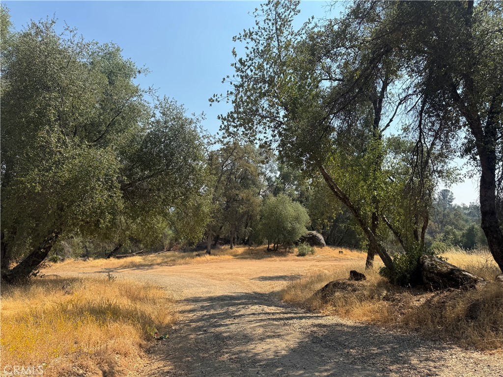 5393 Schafer Road Mariposa, CA 95338 - Photo 18 of 19