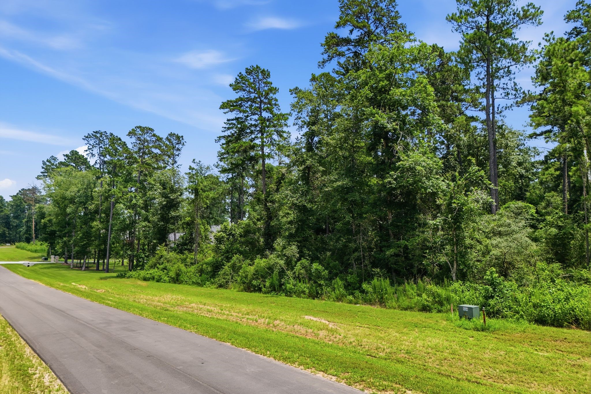 16068 Four Hills Road Willis, TX 77378 - Photo 11 of 29
