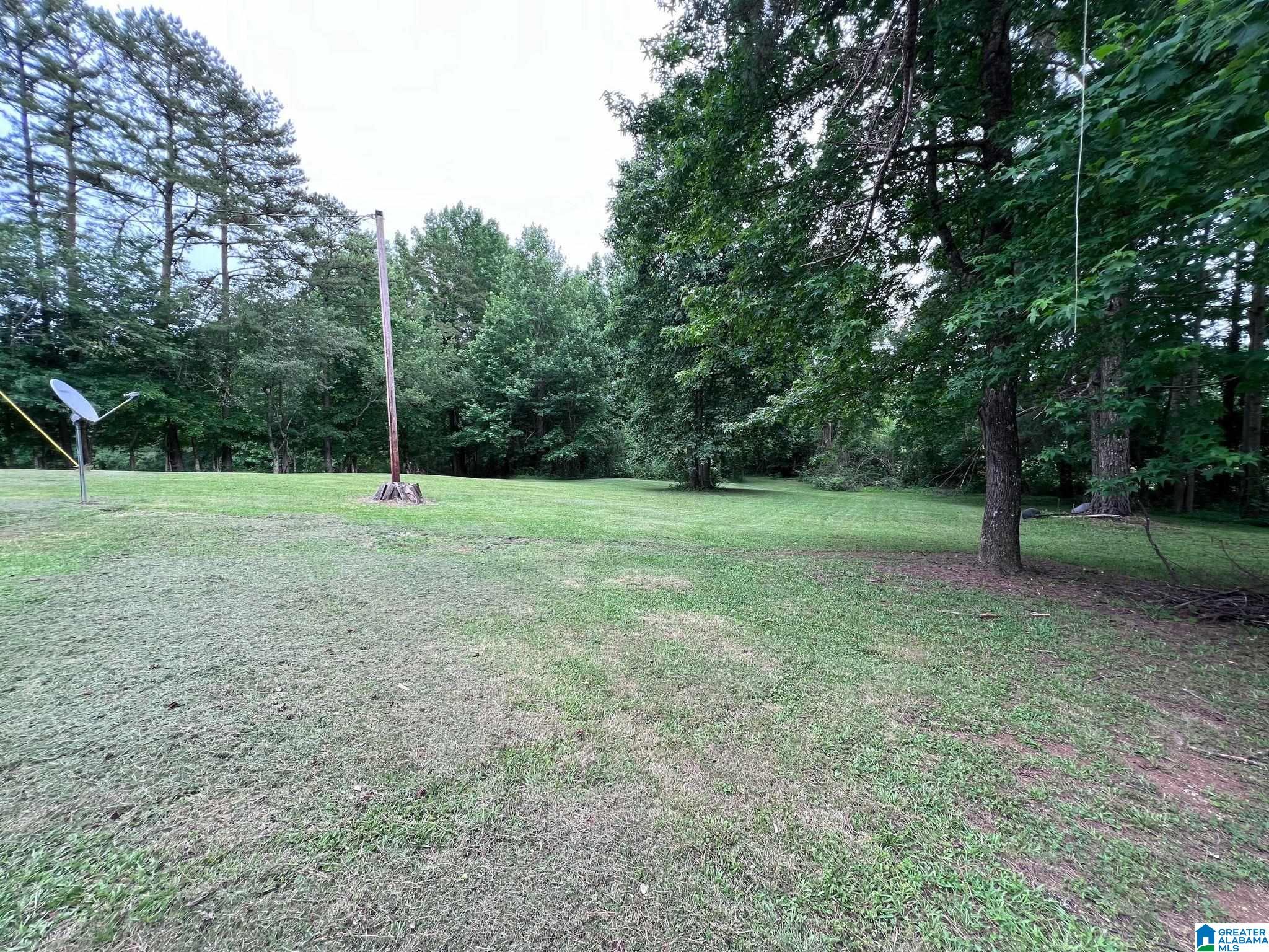 1730 Abel Road Delta, AL 36258 - Photo 23 of 28