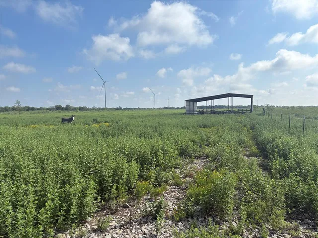 a view of a big yard with lots of green space and fence