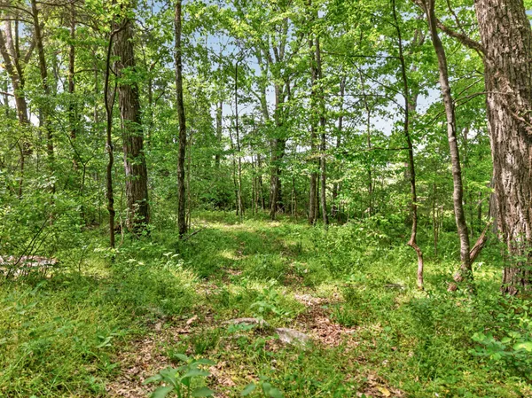 $650,000 | 475 Old Elkton Pike, Fayetteville, TN 37334