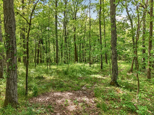 $650,000 | 475 Old Elkton Pike, Fayetteville, TN 37334