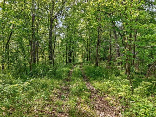 $650,000 | 475 Old Elkton Pike, Fayetteville, TN 37334