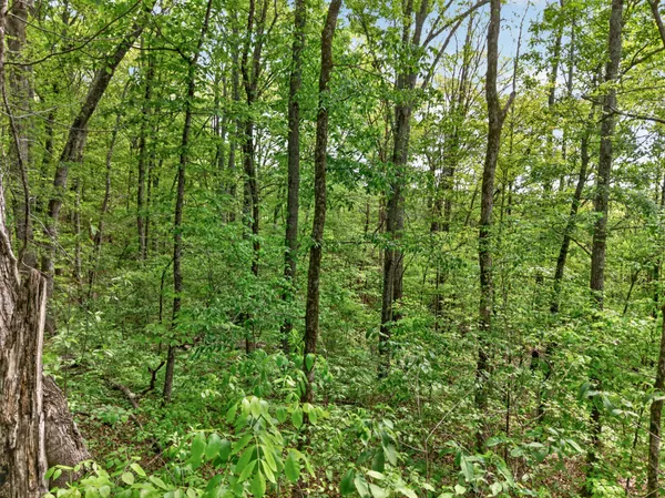 $650,000 | 475 Old Elkton Pike, Fayetteville, TN 37334