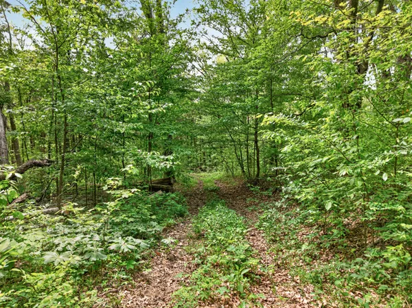 $650,000 | 475 Old Elkton Pike, Fayetteville, TN 37334