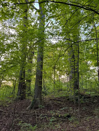 $650,000 | 475 Old Elkton Pike, Fayetteville, TN 37334