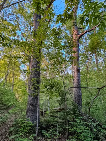 $650,000 | 475 Old Elkton Pike, Fayetteville, TN 37334