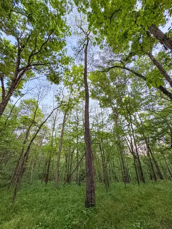 $650,000 | 475 Old Elkton Pike, Fayetteville, TN 37334