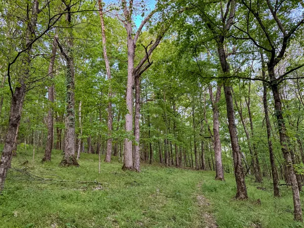 $650,000 | 475 Old Elkton Pike, Fayetteville, TN 37334