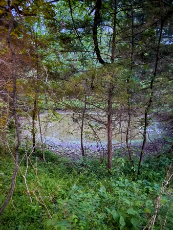 $650,000 | 475 Old Elkton Pike, Fayetteville, TN 37334