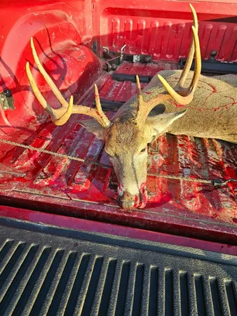 $650,000 | 475 Old Elkton Pike, Fayetteville, TN 37334