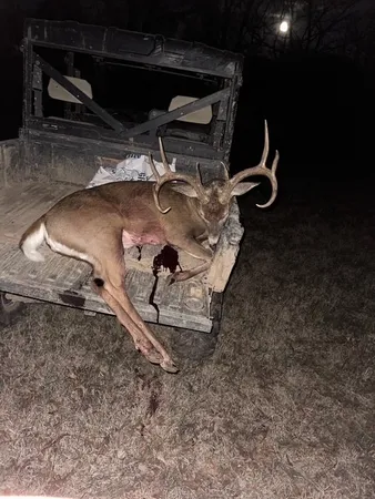 $650,000 | 475 Old Elkton Pike, Fayetteville, TN 37334