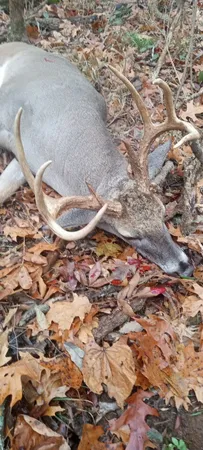 $650,000 | 475 Old Elkton Pike, Fayetteville, TN 37334