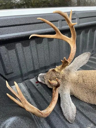 $650,000 | 475 Old Elkton Pike, Fayetteville, TN 37334