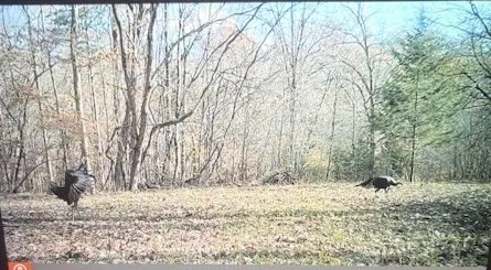 $650,000 | 475 Old Elkton Pike, Fayetteville, TN 37334